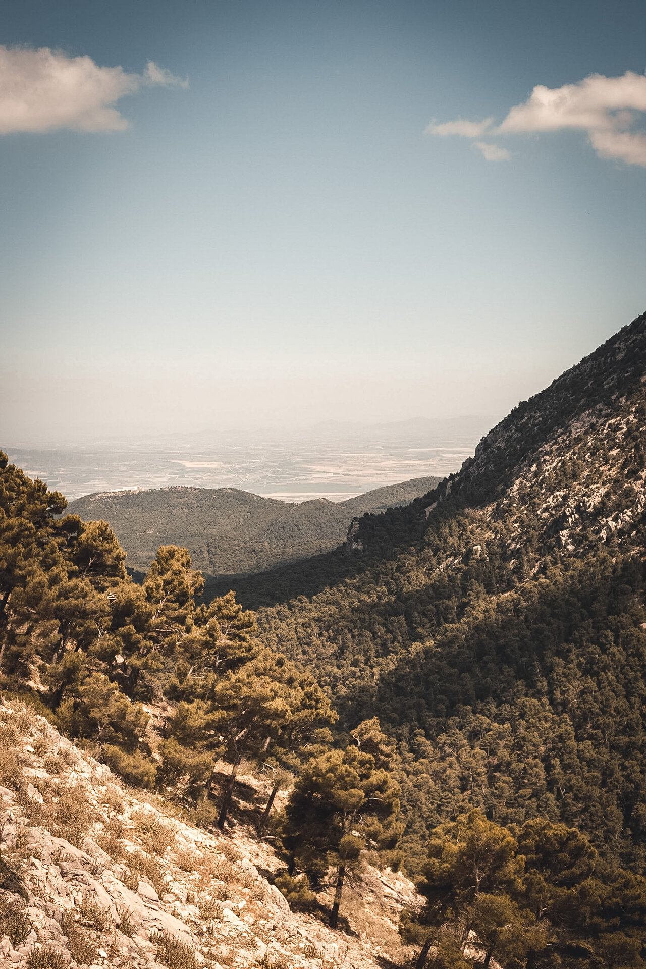 Sierra Espuña — vue panoramique